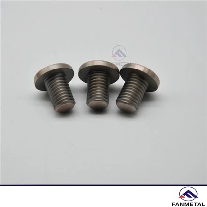 Copper Tungstène Vis Electrode